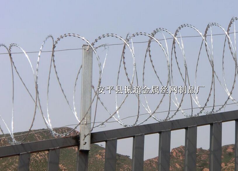 Ƭ-www.96cpvip8168.cn