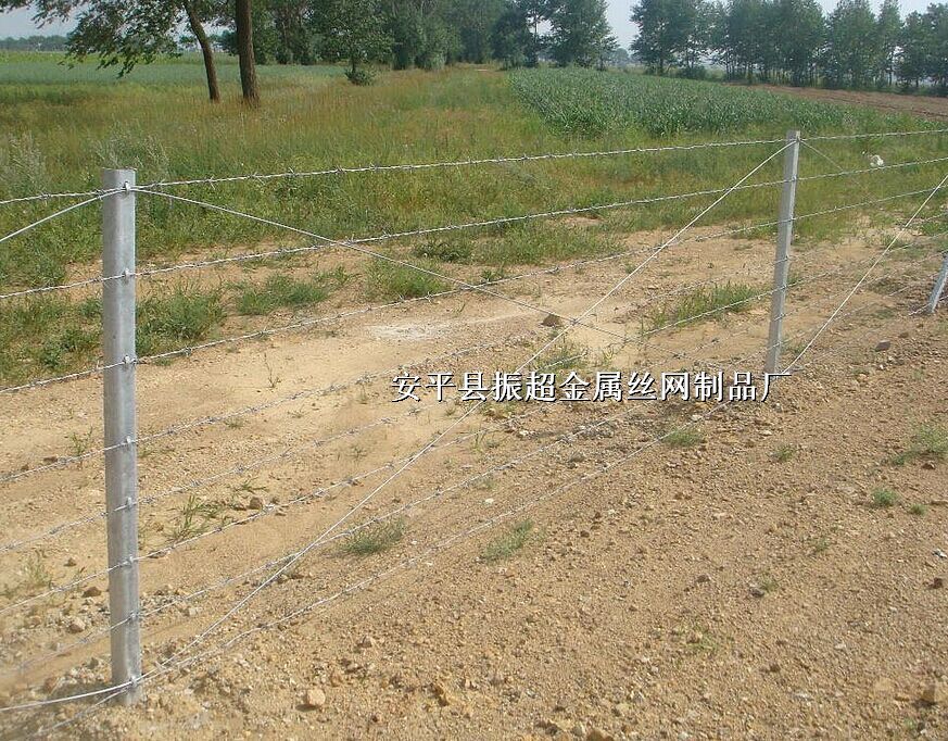 ̽z-www.96cpvip8168.cn