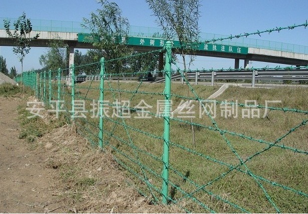 д䓽zwww.96cpvip8168.cn