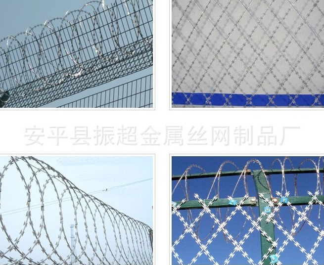 Ƭ䓣www.96cpvip8168.cn