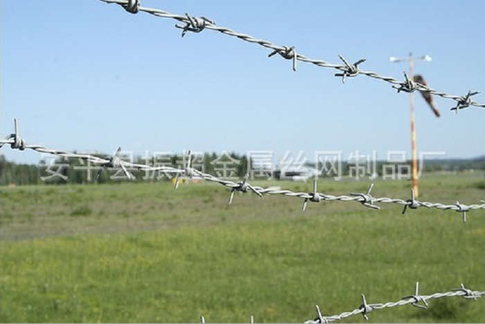 \д䓽zwww.96cpvip8168.cn