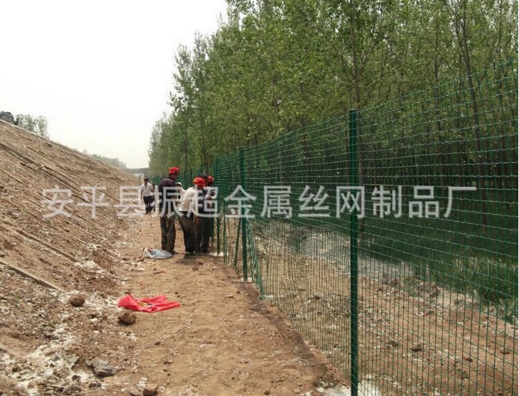 ýzW(wng)www.96cpvip8168.cn