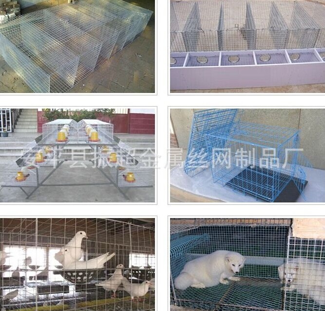 B(yng)ֳ늺W(wng)www.96cpvip8168.cn