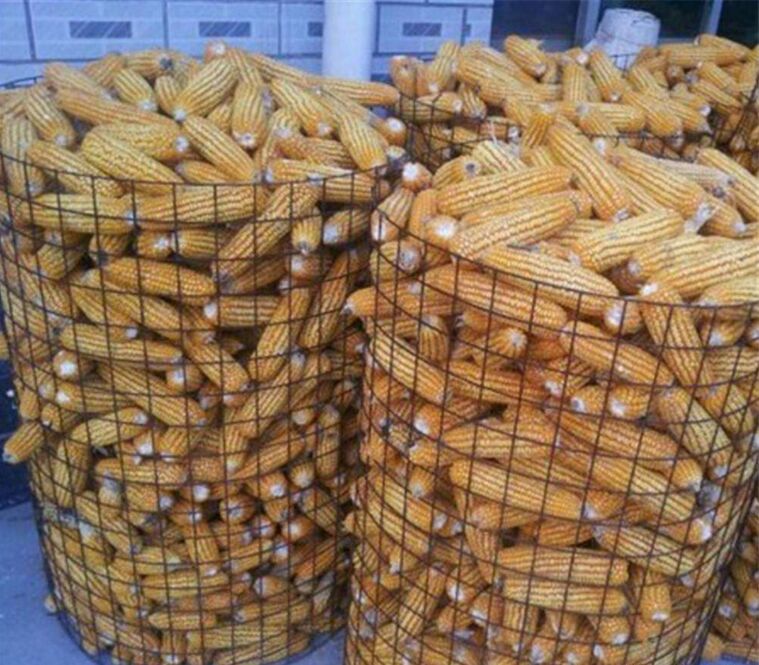 Ȧ늺W(wng)www.96cpvip8168.cn