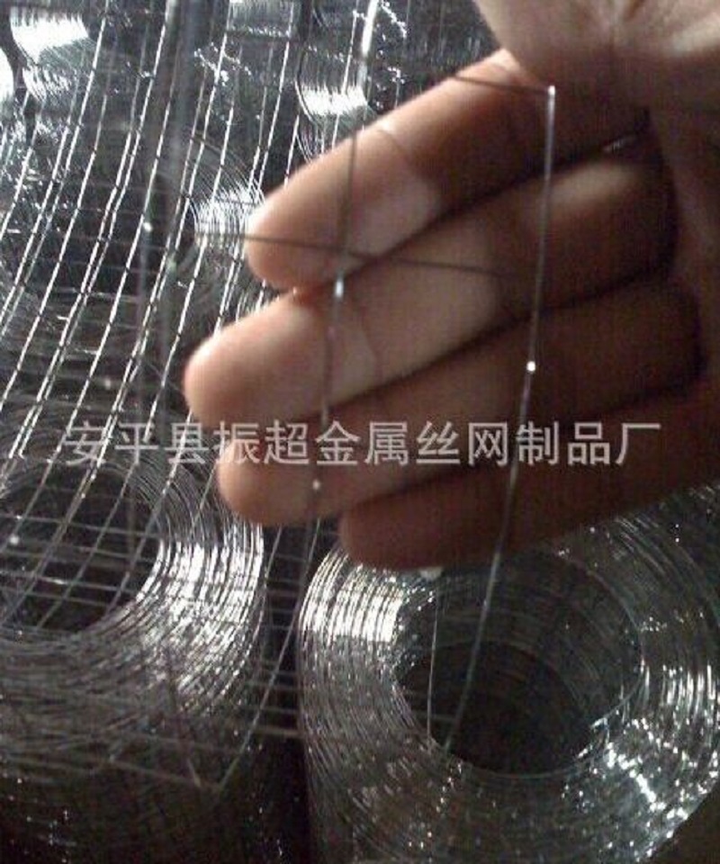 316P늺W(wng)www.96cpvip8168.cn