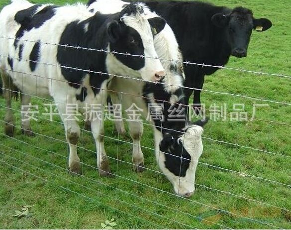 ԭo(h)W(wng)www.96cpvip8168.cn