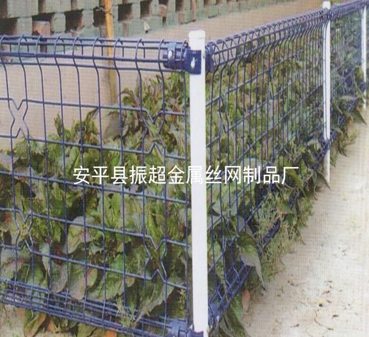 pȦoW(wng)www.96cpvip8168.cn