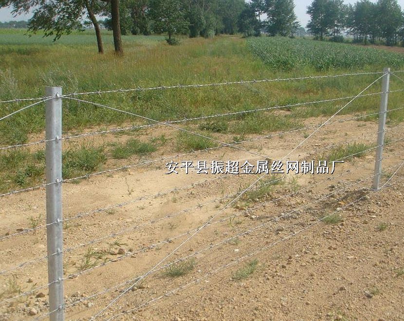 ̵䓽zW(wng),д̵䓽zW(wng),̽zhttp://www.96cpvip8168.cn