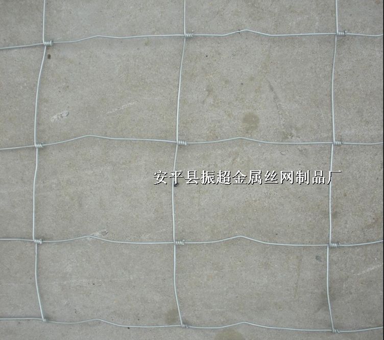 ԭ䓽zW(wng),Ȧţ䓽zW(wng)http://www.96cpvip8168.cn