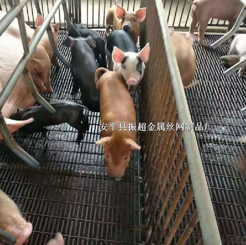 ¶SذW(wng)B(yng)i܈W(wng)Fza(chn)W(wng)http://www.96cpvip8168.cn