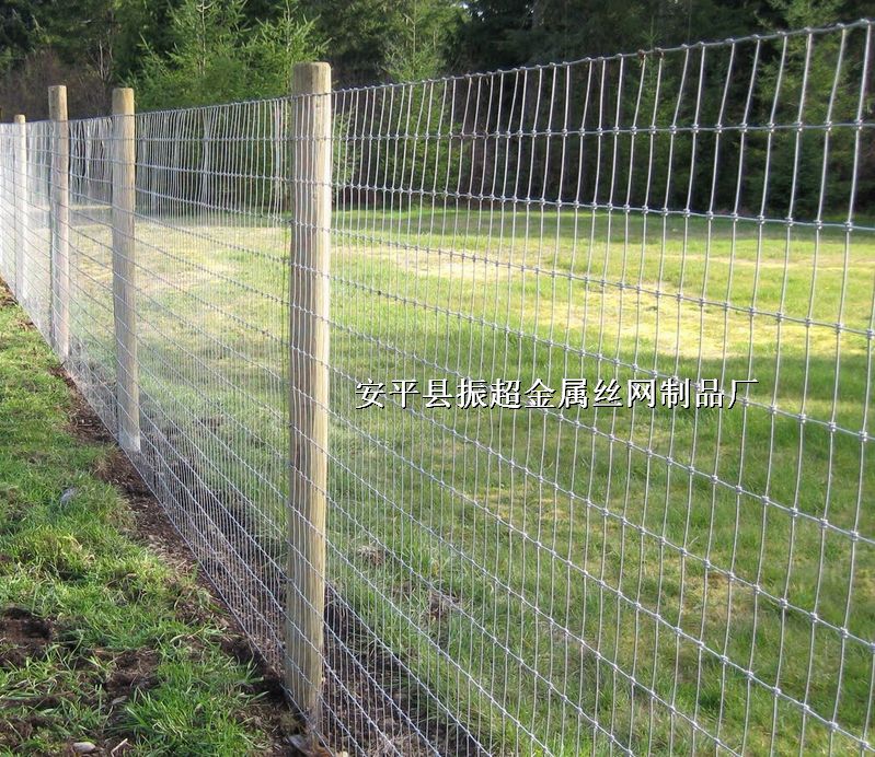 Ȧţ䓽z�W(w��ng)��Ȧţ�����W(w��ng)��Ȧţ�W(w��ng)http://www.96cpvip8168.cn