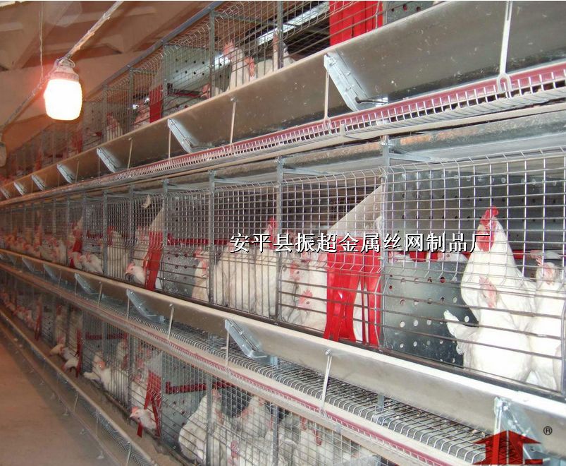 u\FzW(wng)䓽zW(wng)http://www.96cpvip8168.cn