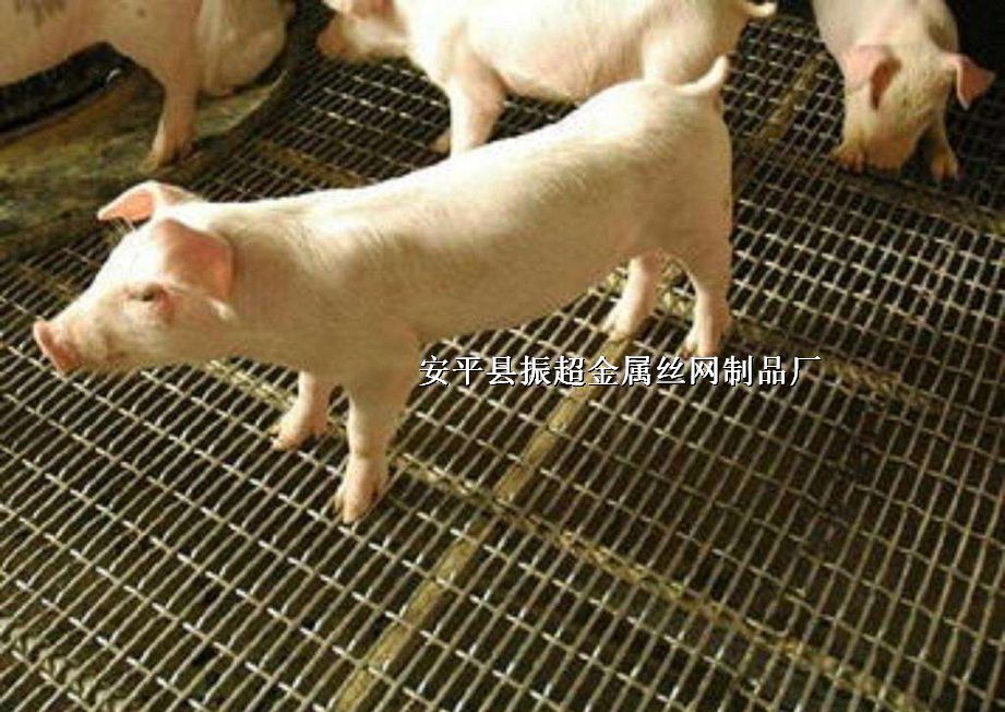 iWB(yng)i¶SذWhttp://www.96cpvip8168.cn