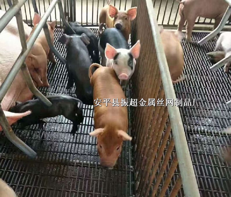 B(yng)ia(chn)W(wng),W(wng),FziW(wng)¶SW(wng)www.96cpvip8168.cn