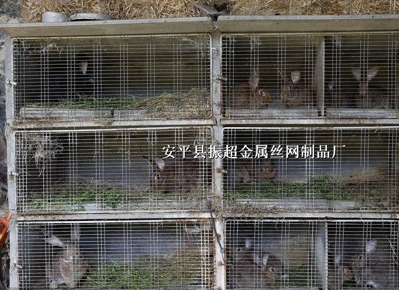 û\W(wng)䓽zW(wng)\http://www.96cpvip8168.cn