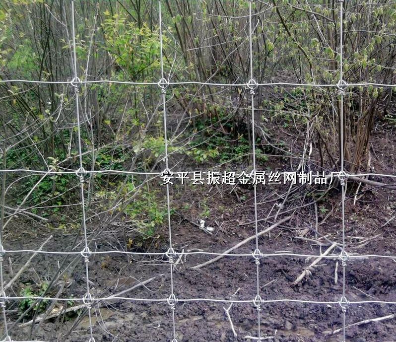 NֲھW(wng),(jin)׷o(h)W(wng)http://www.96cpvip8168.cn