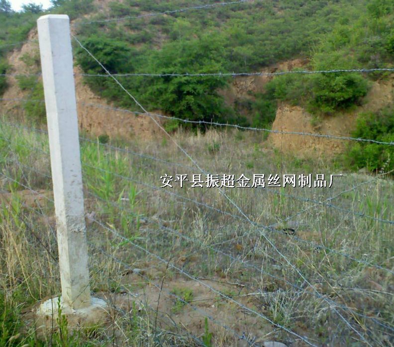 ܇ھW(wng)\ھW(wng)PVCھW(wng)ֈ@oW(wng)http://www.96cpvip8168.cn