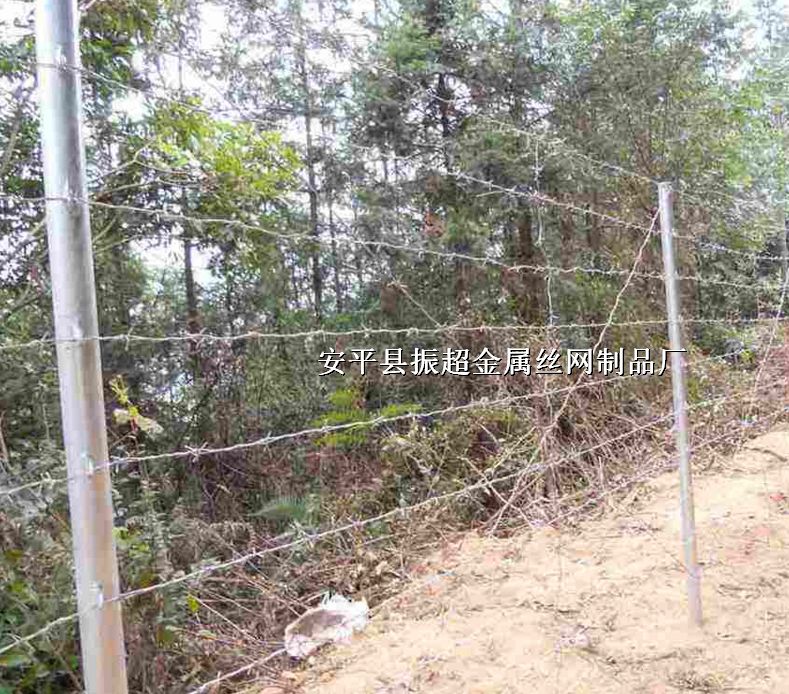 ̵䓽zд̵䓽z̽zW(wng)http://www.96cpvip8168.cn