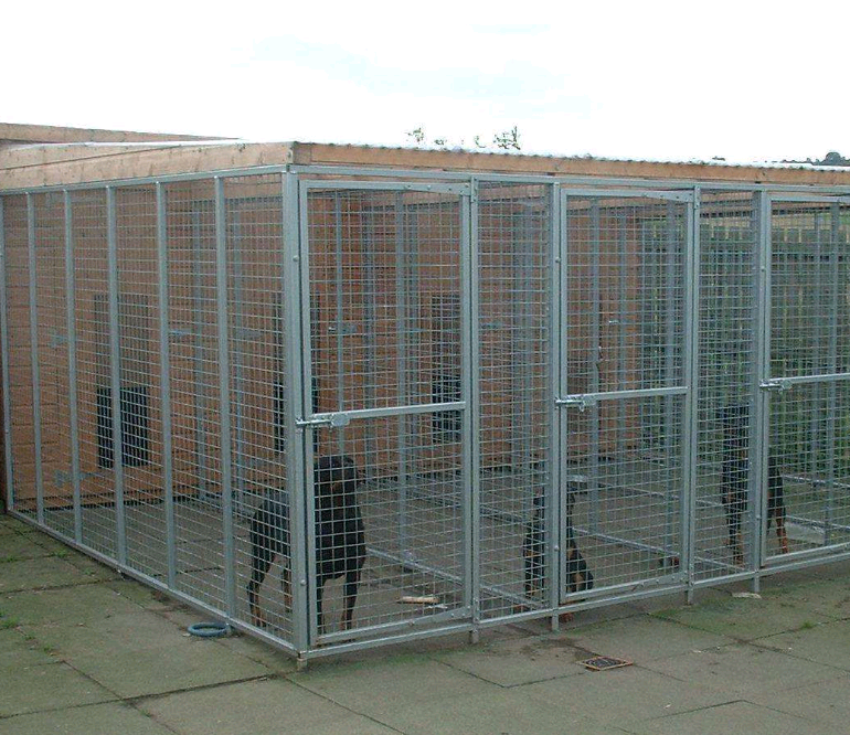 䓽zW(wng)\-www.96cpvip8168.cn