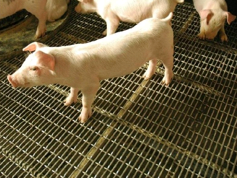 䓽zW(wng)i-www.96cpvip8168.cn