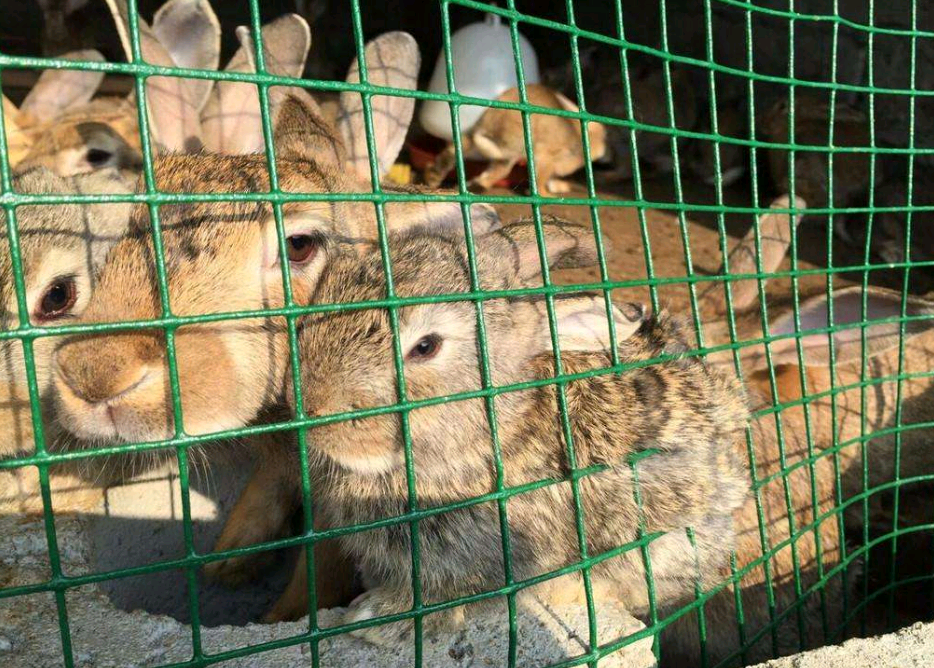 GƤ䓽zW(wng)-www.96cpvip8168.cn