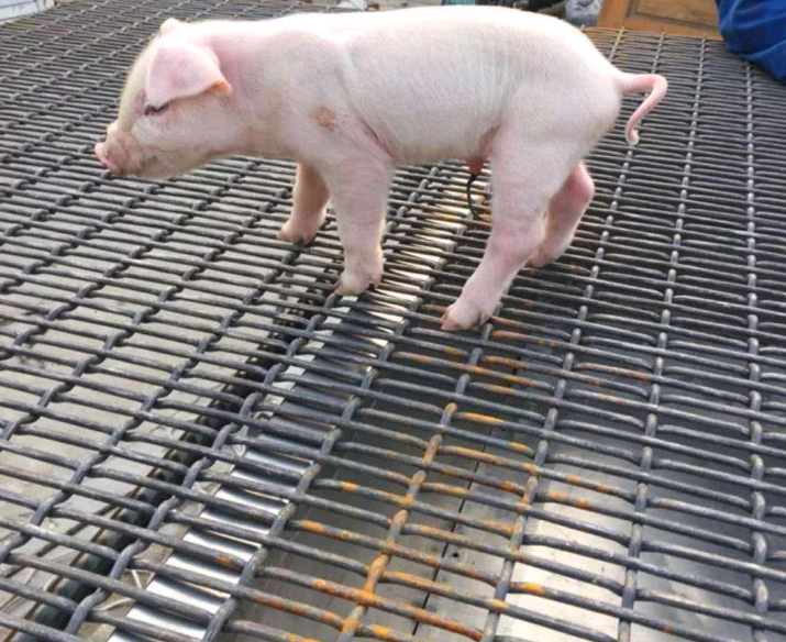 i䓽zW(wng)©S䓽zW(wng)www.96cpvip8168.cn